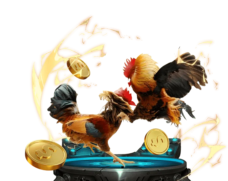 Các phương thức nạp và rút tiền tại KU11 Casino